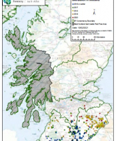 Map of Dendroctonus micans distribution in Scotland